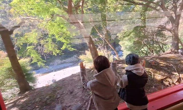 京都・成長してたナムの切り株の記事動画