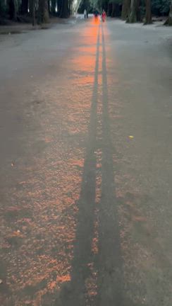 11/11 夢先生〜茨城県行方市立麻生東小学校〜の記事動画