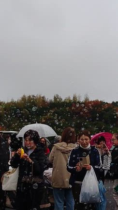 ブルフェスの記事動画