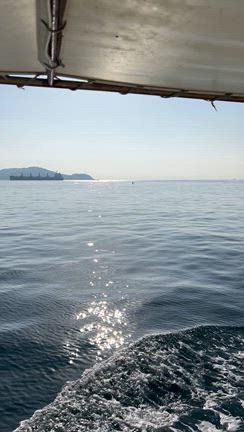 2日　タチウオ便　釣果の記事動画