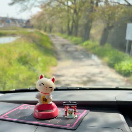 犬生を終えお別れは辛いけど悔いはなしの記事動画