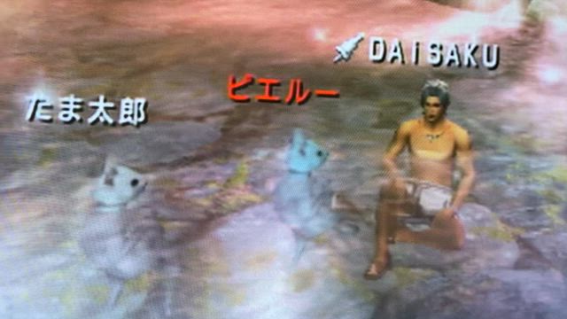 MHP3≫心づもり。の記事動画