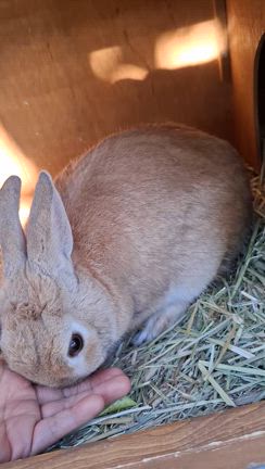 ボクは強めが好み♡の記事動画