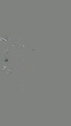 真っ白で子猫のように小柄な猫「つる」の記事動画