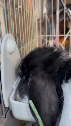 映画「国宝」を観ての記事動画