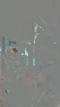 現実創造の力に触れる「お魚プロジェクト」の記事動画