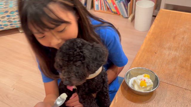 愛犬シンバが１歳になりました！の記事動画