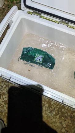 1月備忘録の記事動画