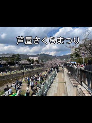 サクラ、サクラの記事動画