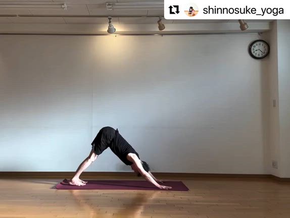 アシュタンガヨガ強化月間マイソールメンバー募集中！の記事動画
