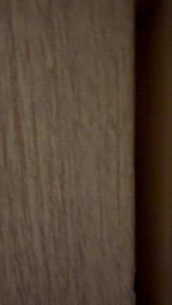 聖歌コンサートから山中湖へ(１)の記事動画