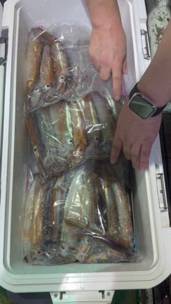 8/20(水)の記事動画