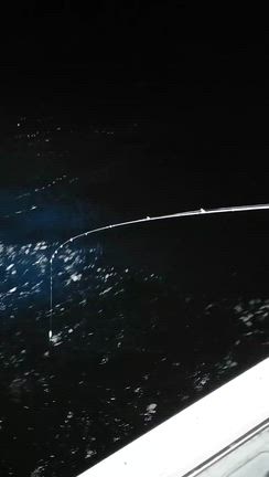 12/27の記事動画