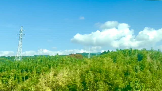 富士を横目に肺がん学会　生配信！の記事動画