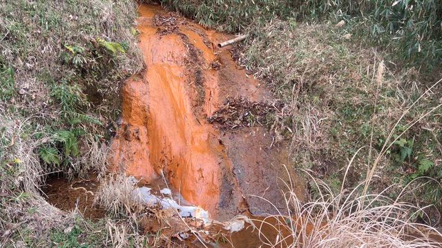 日本人なら知っておくべき、神器遷座と丹生の民の「失われた正史」の記事動画
