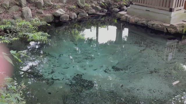 出会った翌日に・・・【595記事目】の記事動画