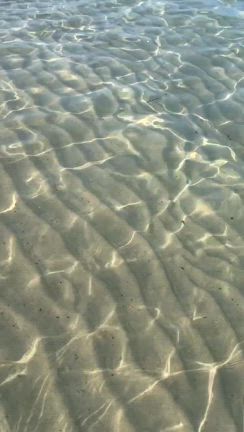 海に行きましたの記事動画