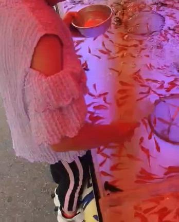 夏まつり他の記事動画