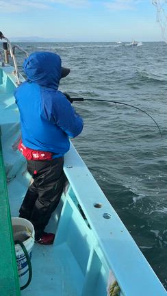 11月11日(火)  荒れ後ボコボコですの記事動画