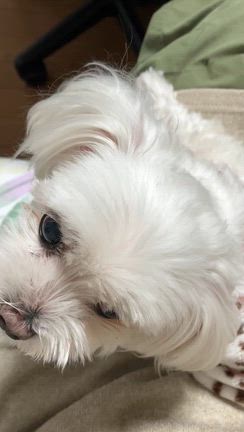 夜勤。の記事動画