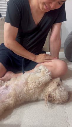 最近の夜の記事動画