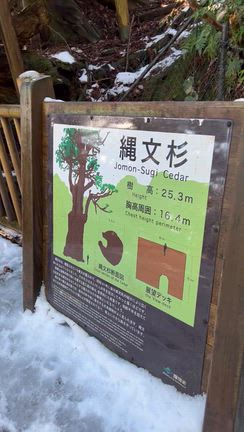 屋久島への記事動画