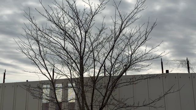 【日帰りで空活】その② 成田空港のB滑走路に着陸する飛行機を東峰神社から激写の記事動画