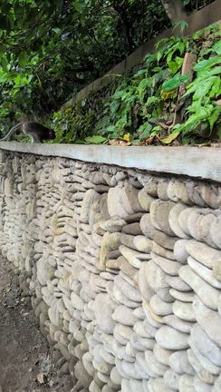 【BALIでバリバリ②】暑い国いくと風邪をひく理由の記事動画