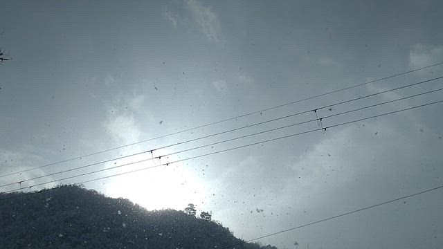 冬至の頃の景色の記事動画