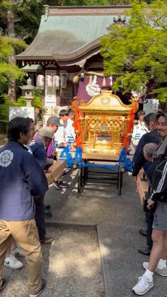 若山神社の子ども神輿と大人神輿♬の記事動画