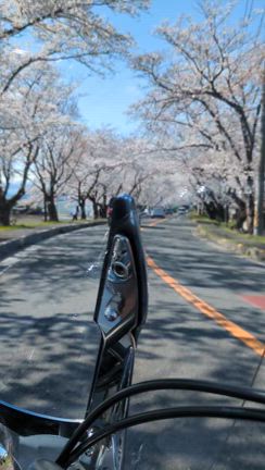 ストさんぽ　プチ　リハビリの記事動画