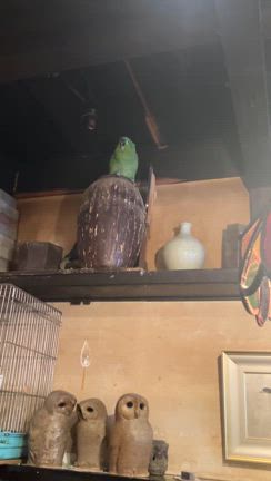 昨日あれだけ言ったのに。の記事動画