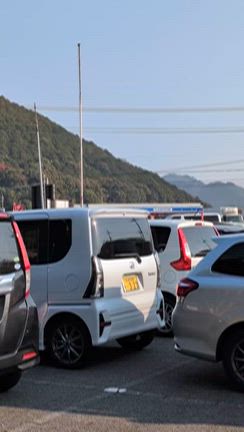 階段の記事動画