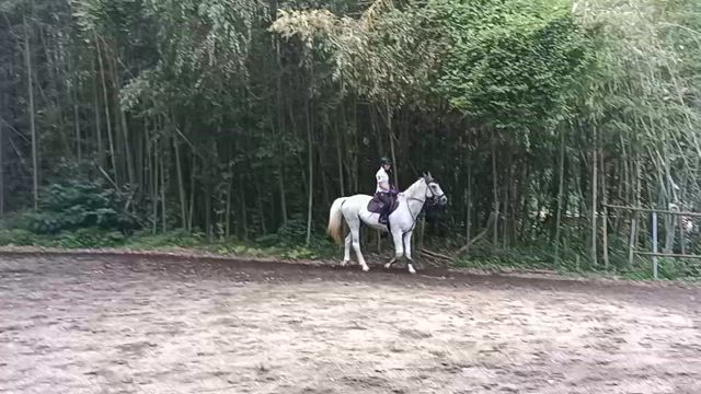 ちゃんと習って、思い出す(動画)の記事動画