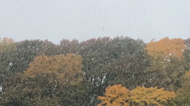 キター！初雪の記事動画