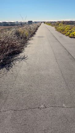 まだ生脚で走れる荒サイ…末端冷えるのでブーツ必須イヤーウォーマーギリ不要な出勤ライドの記事動画