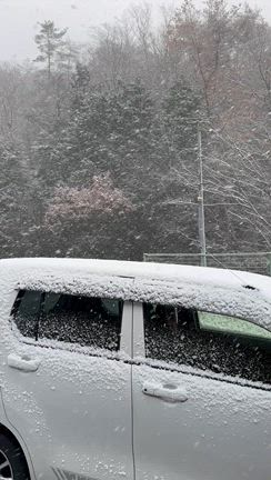 初雪☆の記事動画