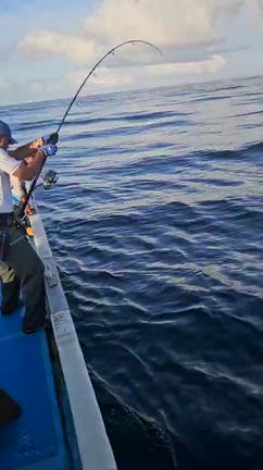 2025/10/19　南東海域再びの記事動画