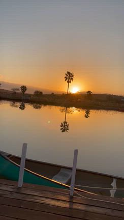 年始の営業の記事動画