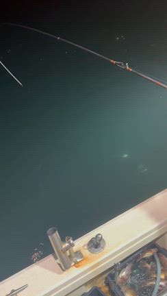 夜メバル‼️の記事動画