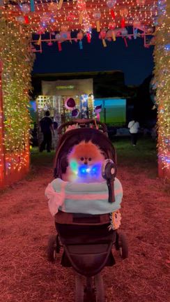 夏の浪漫〜ライトアップ〜の記事動画