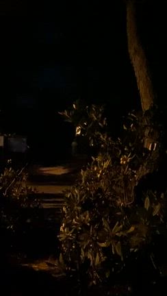 神さまに出会うの記事動画