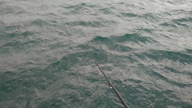 2024.10.05　エギング♪(ｏ・ω・)ノ))の記事動画