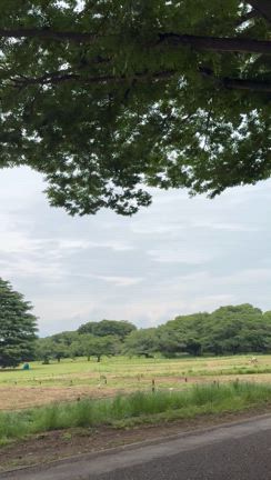 昨日のパークヨガ会場の様子♪最高に心地良いですの記事動画