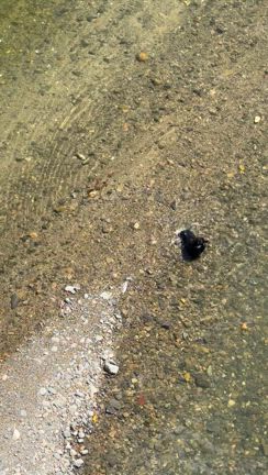 「線路は続くよ何処までも」の記事動画