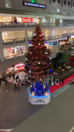 ☆冬がはじまります☆の記事動画