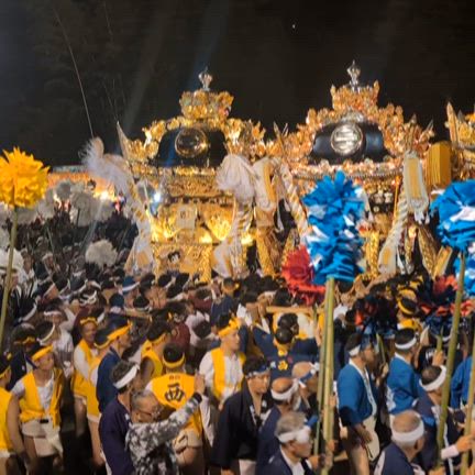 荒川神社の秋祭り、別名「小芋祭り」へ！屋台かき手の熱気を肌で感じる！！！の記事動画