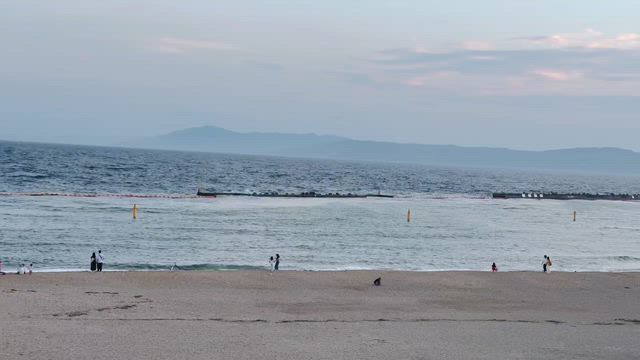 一枚　シリーズの記事動画