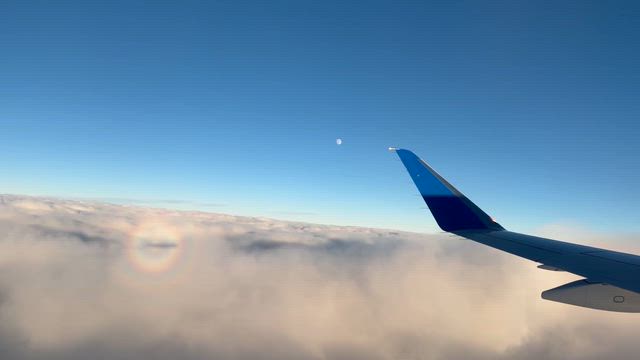 LAへの記事動画