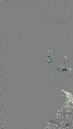 【年末舐めてました】伊豆高原へ年越しそば食べに来たけど・・・の記事動画